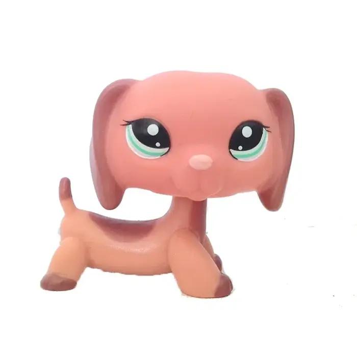 Jouets originaux pour animaux de compagnie