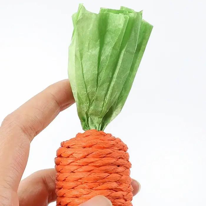 Jouets Carottes Mignons pour Chiens