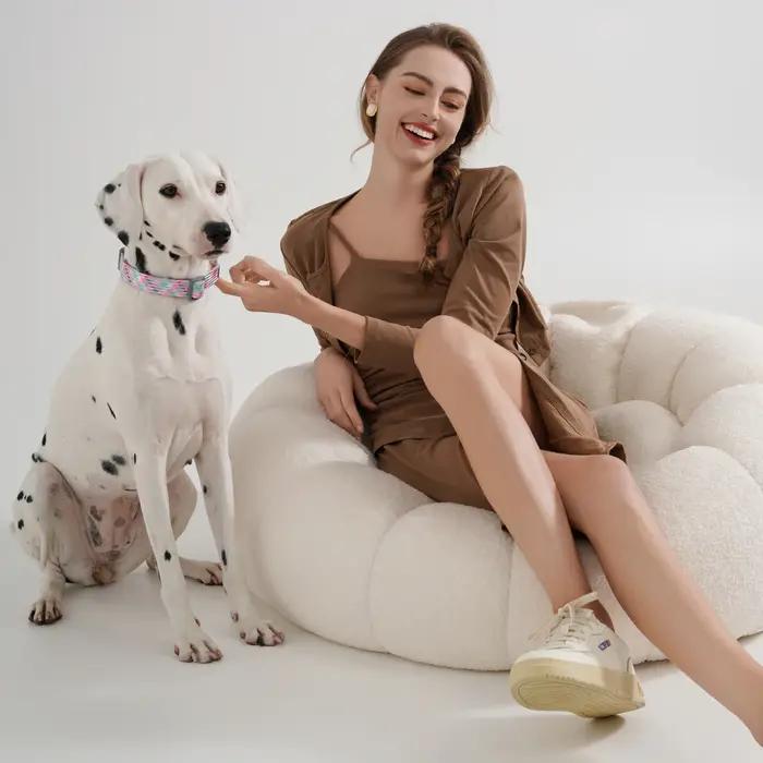 Ensemble de laisses et de colliers pour chiens de petite