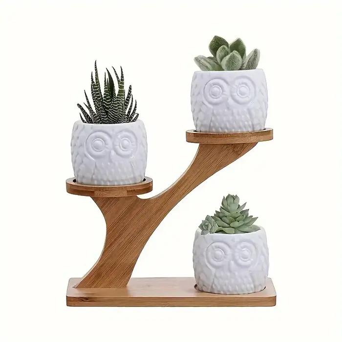 Support multifonctionnel pour plantes en bambou, décoration de maison/bureau/balcon, cadeau parfait