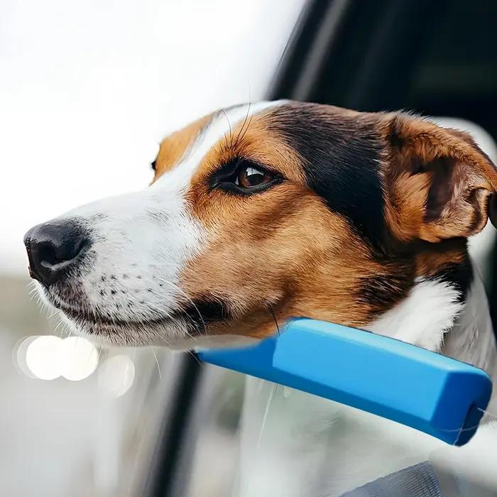 Protecteur de siège de voiture pour chien et repose-menton Protection de porte en mousse pour apaiser les animaux