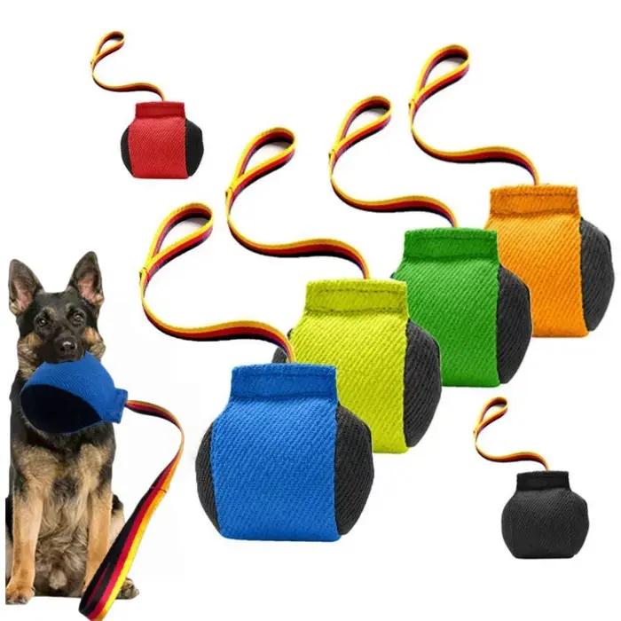 Équipement d'entraînement anti-morsure pour chien portable