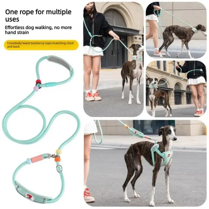 Laisse de traction pour chien de 1,8 m avec protection de cou, laisse de promenade multifonctionnelle pour chiens de taille moyenne à grande, laisse pour lévrier, accessoires pour chiens