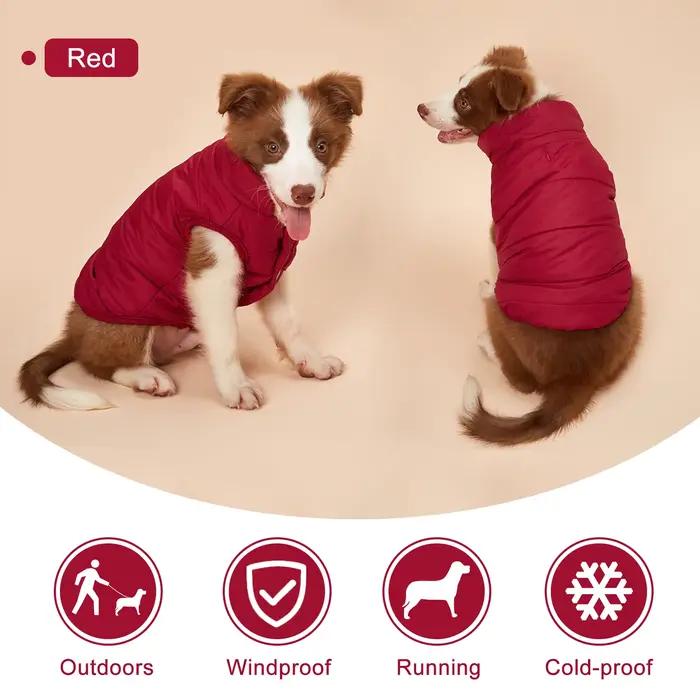 Manteau d'hiver en coton pour chiens et chats élégant et chaud pour petites et grandes tailles occasions spéciales