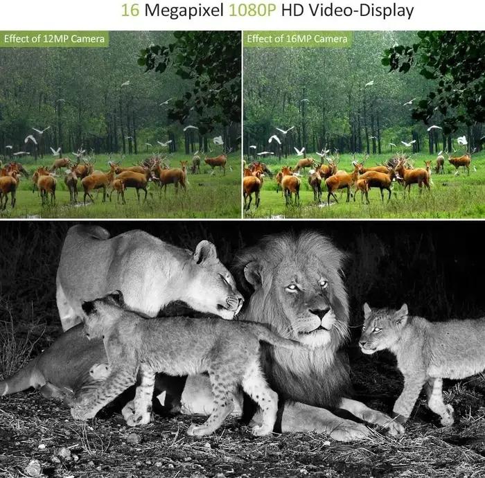 Caméra infrarouge étanche pour la chasse et la surveillance de la faune en plein air avec vision nocturne et résolution 20MP 1080P