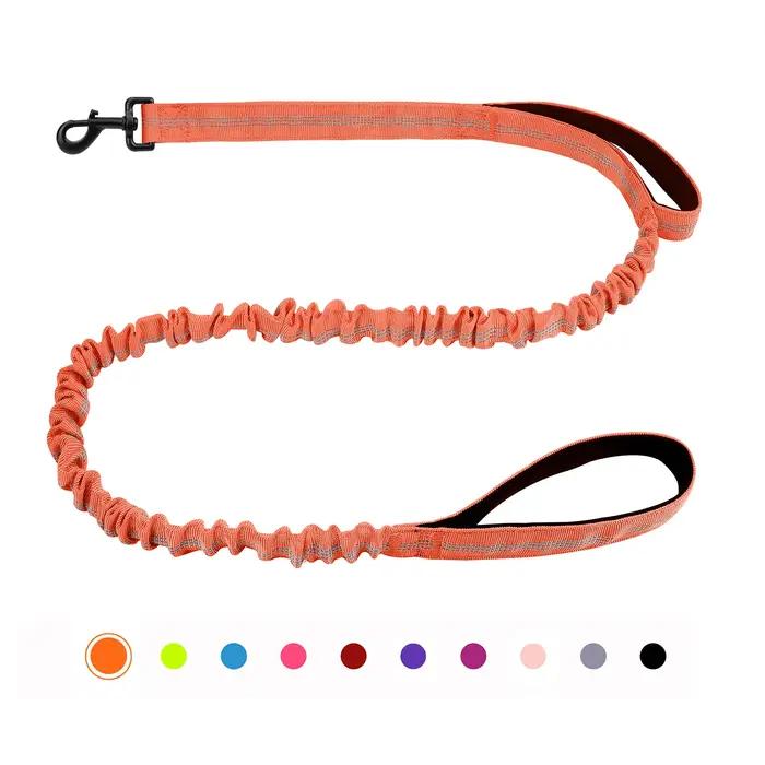 Laisse pour chien élastique
