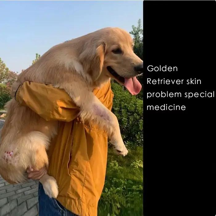 Pommade Anti-Démangeaisons Pour Chiens Et Chats Traitement De La Mycose Acariens Inflammation Perte De Poils Ulcerations Soins Du Pied Occasions Spéciales