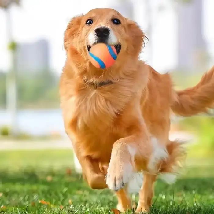 Balle de jeu résistante pour chien en caoutchouc pour activités extérieures et intérieures, balle de rapport, balle solide et élastique pour chiots et chiens adultes, cadeau idéal pour anniversaires et fêtes