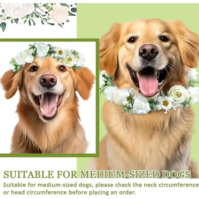 Collier de chien à fleurs élégant et réglable