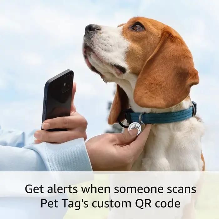 Étiquette d'identification pour animaux de compagnie avec QR code