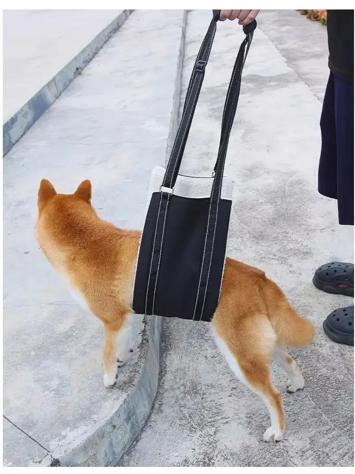 Laisse de Sécurité Auxiliaire pour Animaux de Compagnie, Réglable, pour Personnes Âgées et Chiens, S