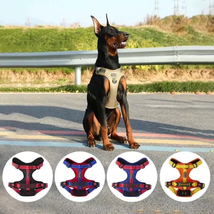 DobSuffolk-Collier de marche Pinscher SFP pour animaux de compagnie