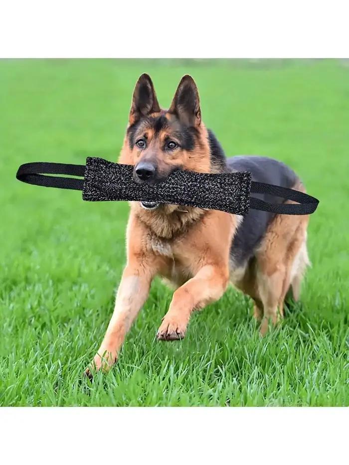 Bâton de morsure pour chiens jouet à mâcher durable pour entraînement et jeu intérieur et extérieur polyvalent occasions spéciales