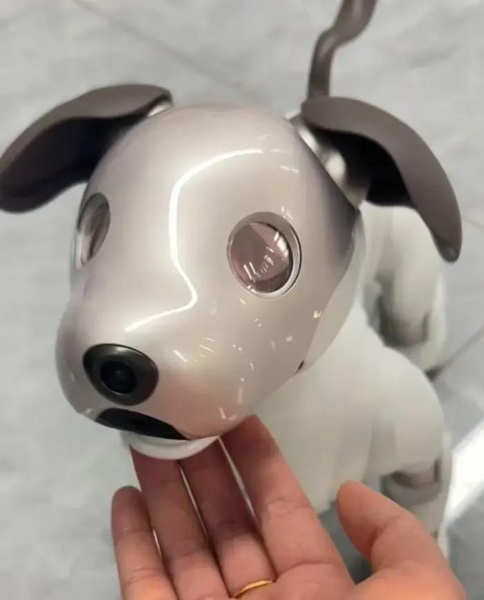 Chien robot intelligent de 4e génération