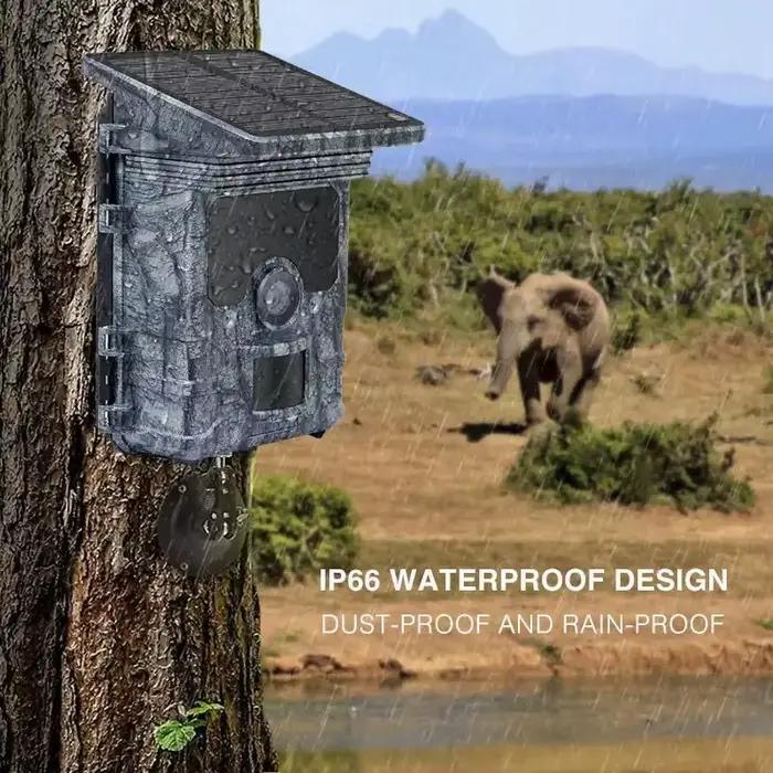 Caméra de chasse 4K WiFi panneau solaire alimentée vision nocturne étanche IP66 pour observation de la faune et chasse nocturne