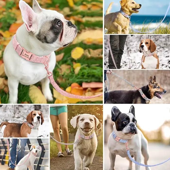 Collier en nylon personnalisé pour chien, nom gravé, ID, réglable, petit, moyen, grand chien, Chihua
