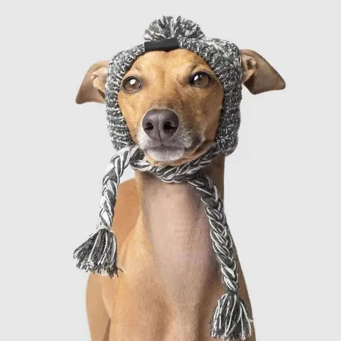 Chapeaux chauds d'hiver pour chiens