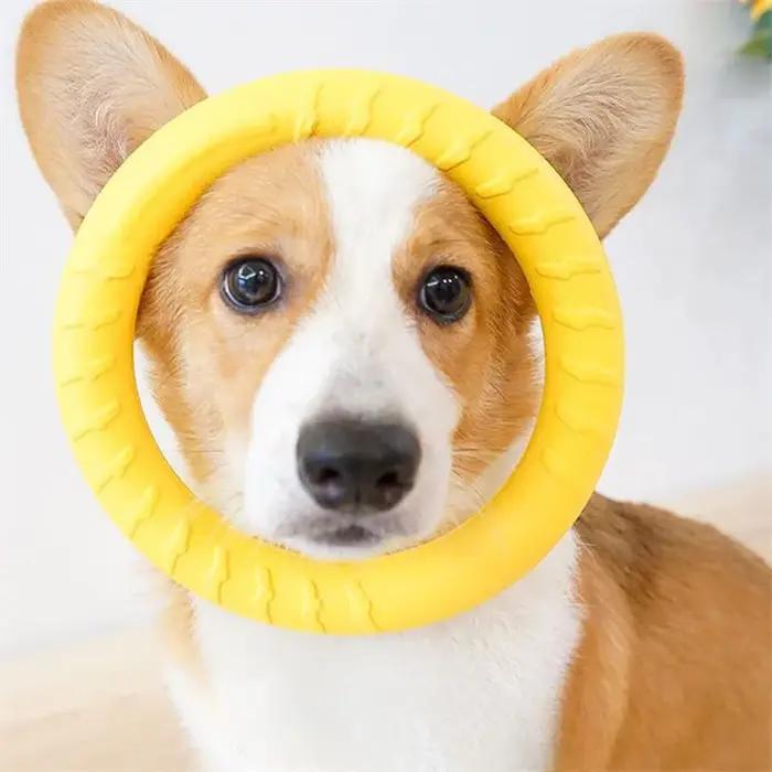 Jouets pour chiens, jouets à mâcher agressifs pour chiens