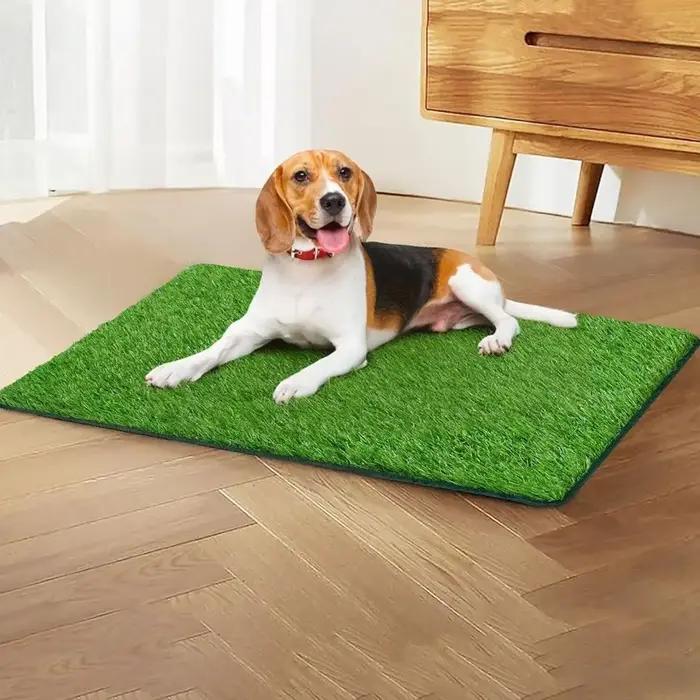 Tapis d'herbe artificielle respirant pour chien