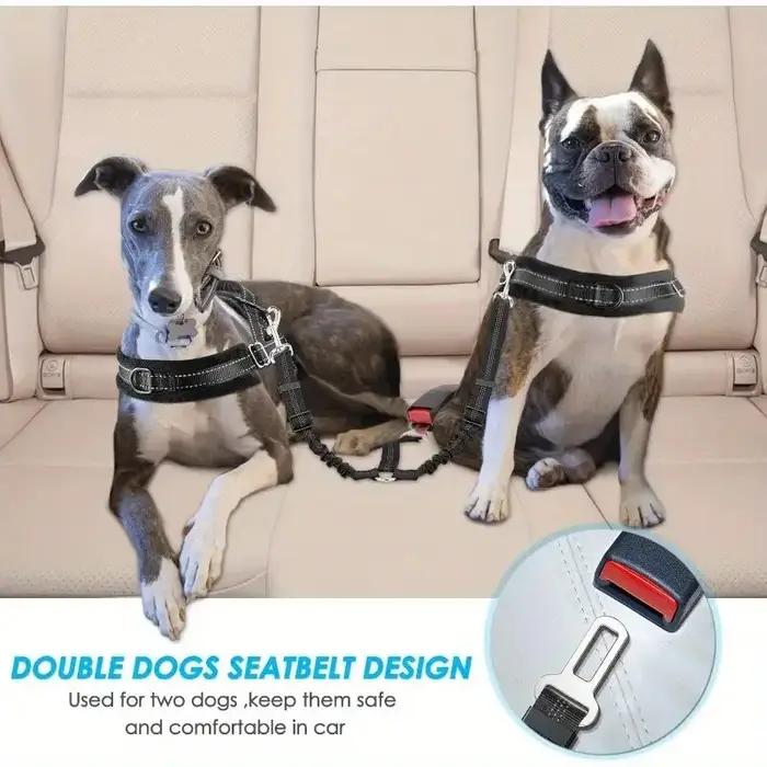 Harnais de sécurité pour chien en voiture