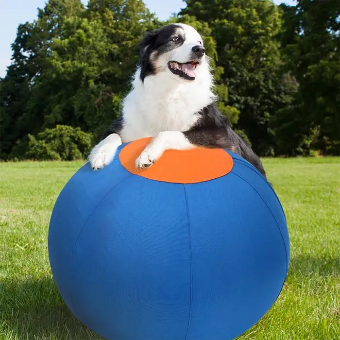 Balle de jeu d'animaux à quatre pattes pour animaux de compagnie