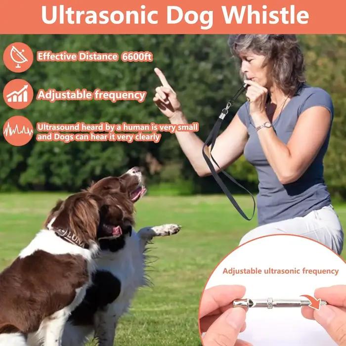 Kit d'entraînement pour chien : pochette à friandises