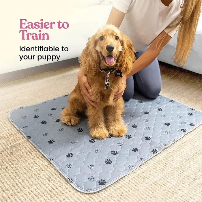 Coussinets d'urine pour chien