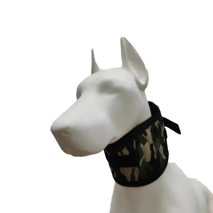 Protège-cou en forme de sanglier pour chien de chasse