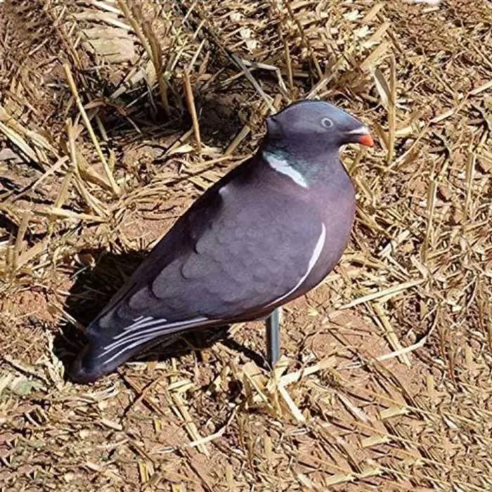 Leurres pigeon chasse 3D réalistes GUGULUZA - 5/10 pièces tissu flexible appât oiseau