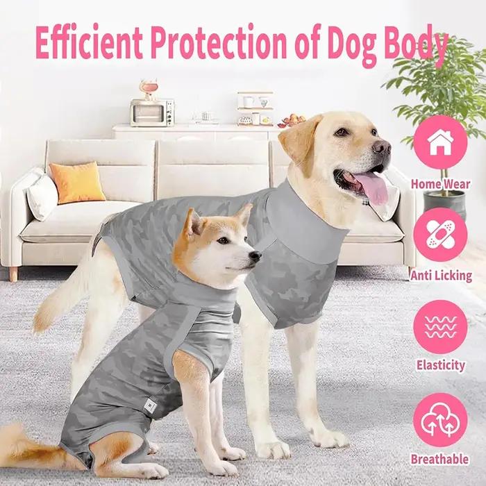 Combinaison de récupération chirurgicale pour chien