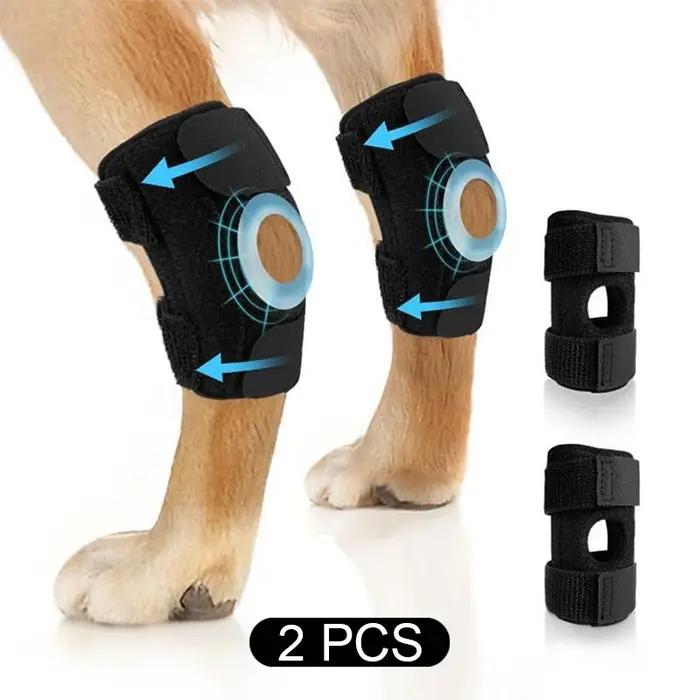 Genouillères de protection pour animaux de compagnie, bandage de soutien, récupération des blessures