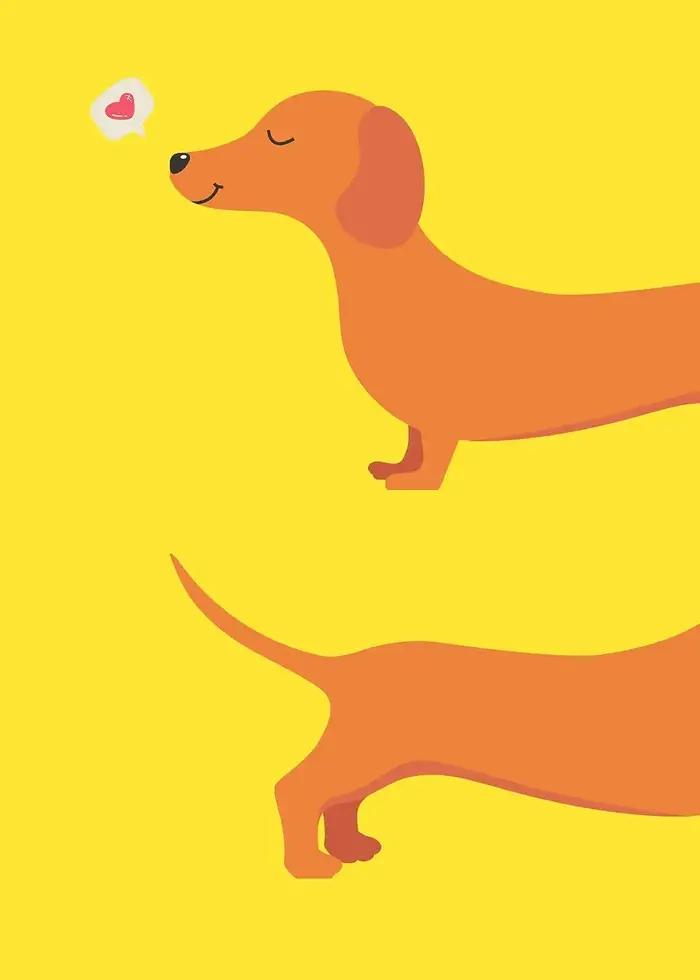 Affiche de chien teckel de dessin animé