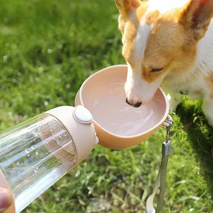 Bouteille d'eau légère et étanche pour chien avec cordon pour la randonnée