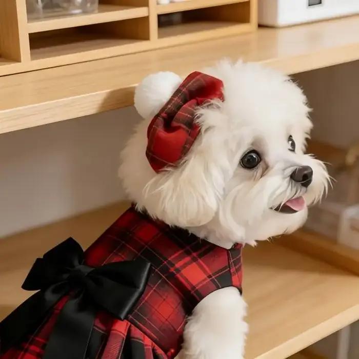 Vêtements pour chiens de compagnie : Costume chemise à carreaux avec cravate