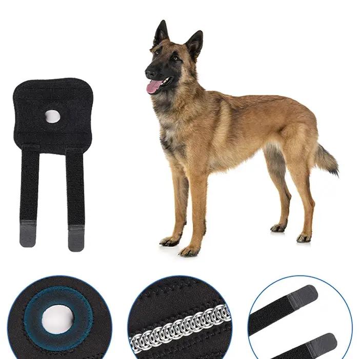 Genouillères de soutien pour chiens de récupération post-opératoire, protection articulaire et maintien du confort pour chiens de différentes races et tailles