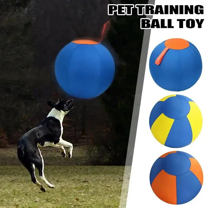 Jouet de dressage pour chien