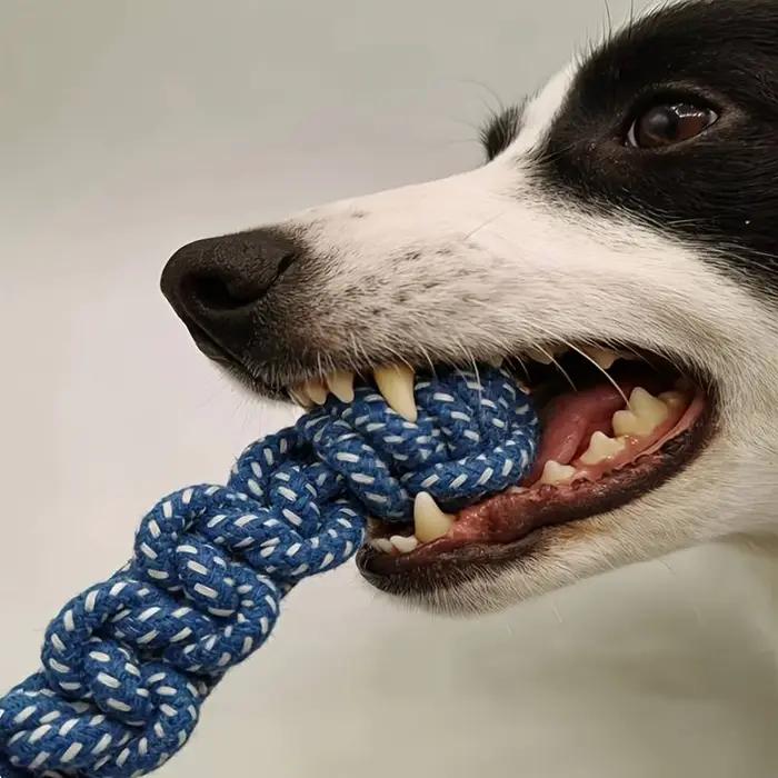 Jouet en corde à nœuds pour chien