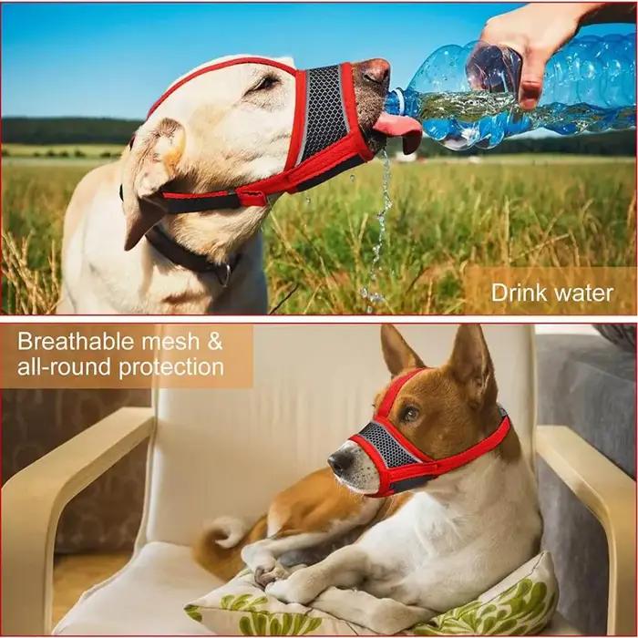 Muselière pour chien respirante Anti-aboiement