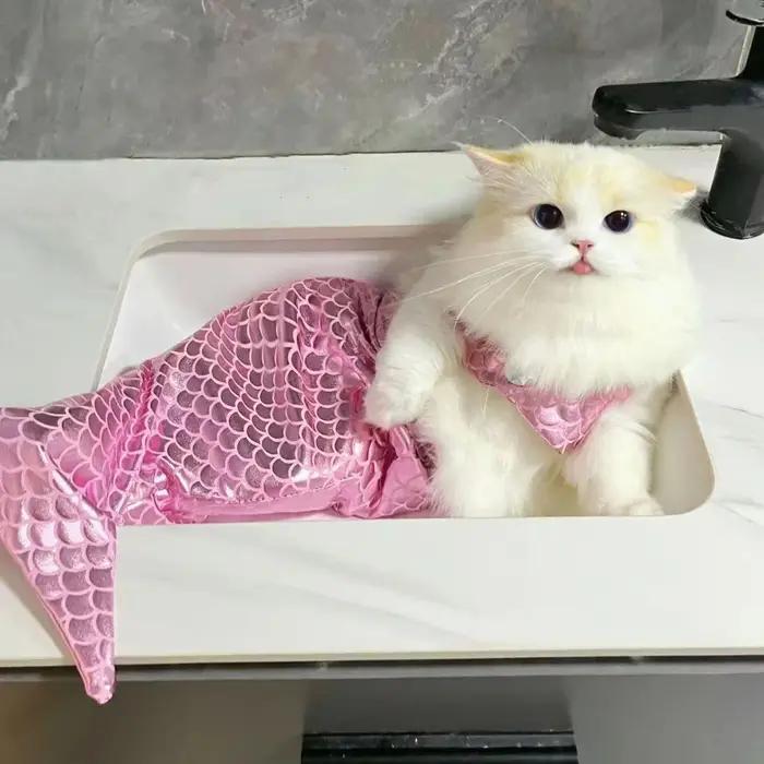 Costumes de sirène pour chat