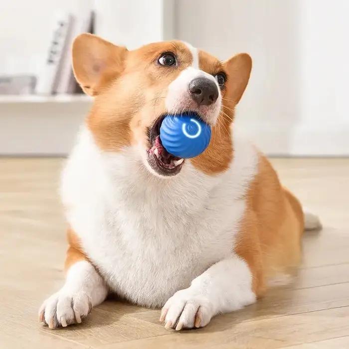 Boule roulante aste pour animaux de compagnie