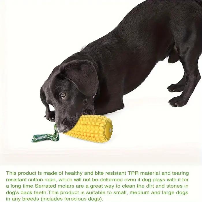 Jouets à mâcher pour chiens