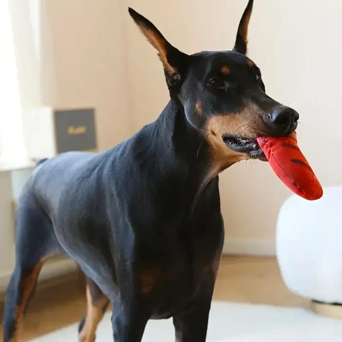 Jouet en peluche pour chiens avec sons amusants pour divertissement et soins bucco-dentaires occaions quotidiennes et cadeaux