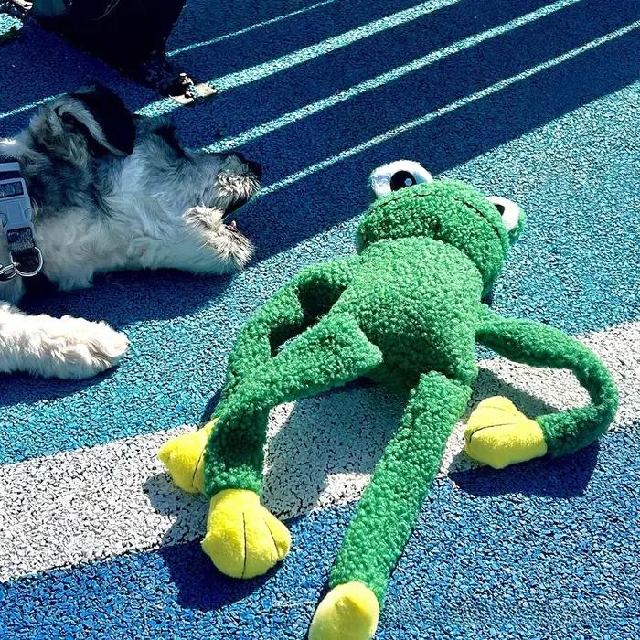 Jouet à mâcher pour chien en peluche douce avec dispositif sonore intégré