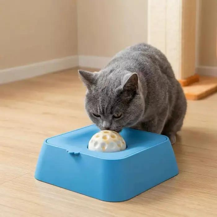 Bols amusants pour chat et chien