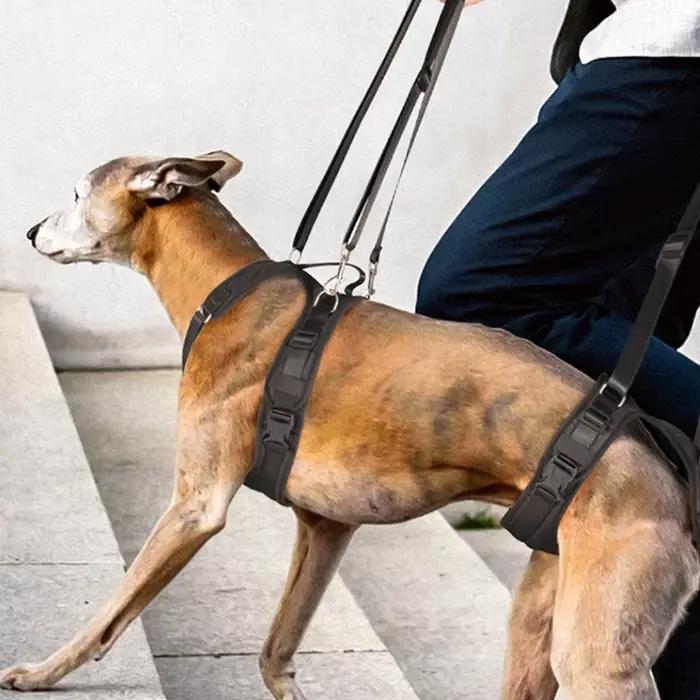 Ceinture auxiliaire pour chien handicapé, outil d'entraînement génital des jambes avant et arrière,