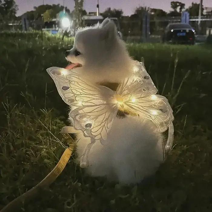 Harnais pour chien avec ailes de papillon lumineuses et tenue d'été pour petits chiens – Adorable décor de poitrine