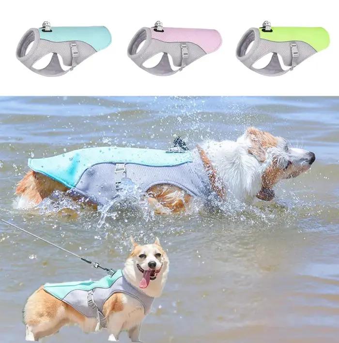 Gilet rafraîchissant pour chien