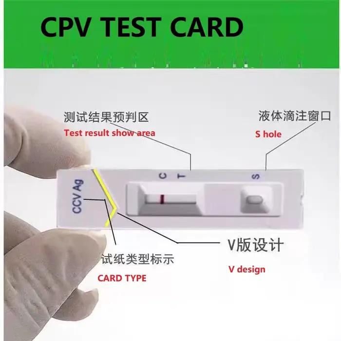 Carte de détection de chien ParvovVILTest, CPV, 20 copies
