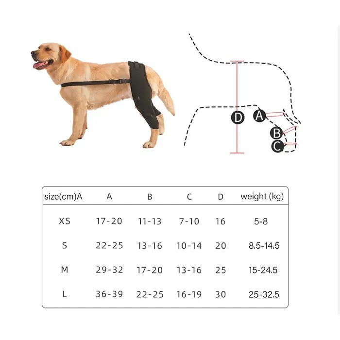 Protecteur de jambes arrière pour chien