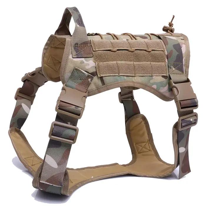 DulCamSolomon-GlaSFP pour chiens moyens et grands